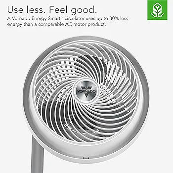 81+2V3E8sJL._AC_UF350,